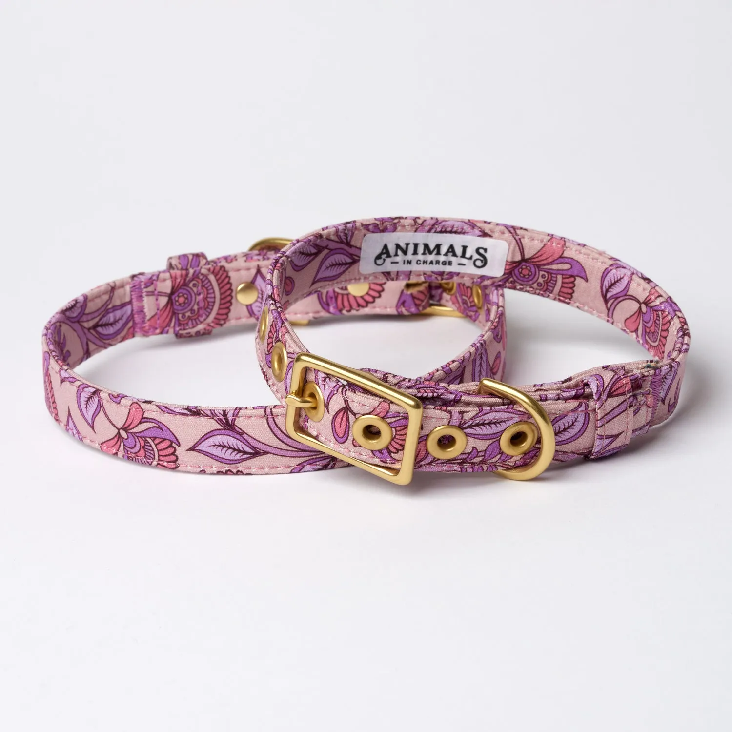 Bohemian Sunrise Designer Dog Collar