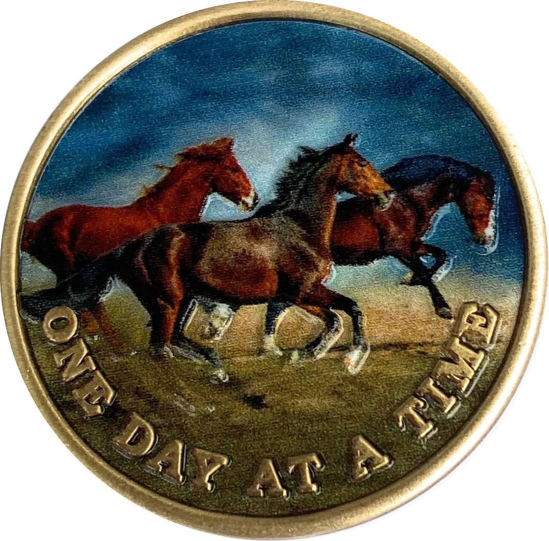 Brown Horses Galloping One Day At A Time Color Serenity Prayer Medallion Coin
