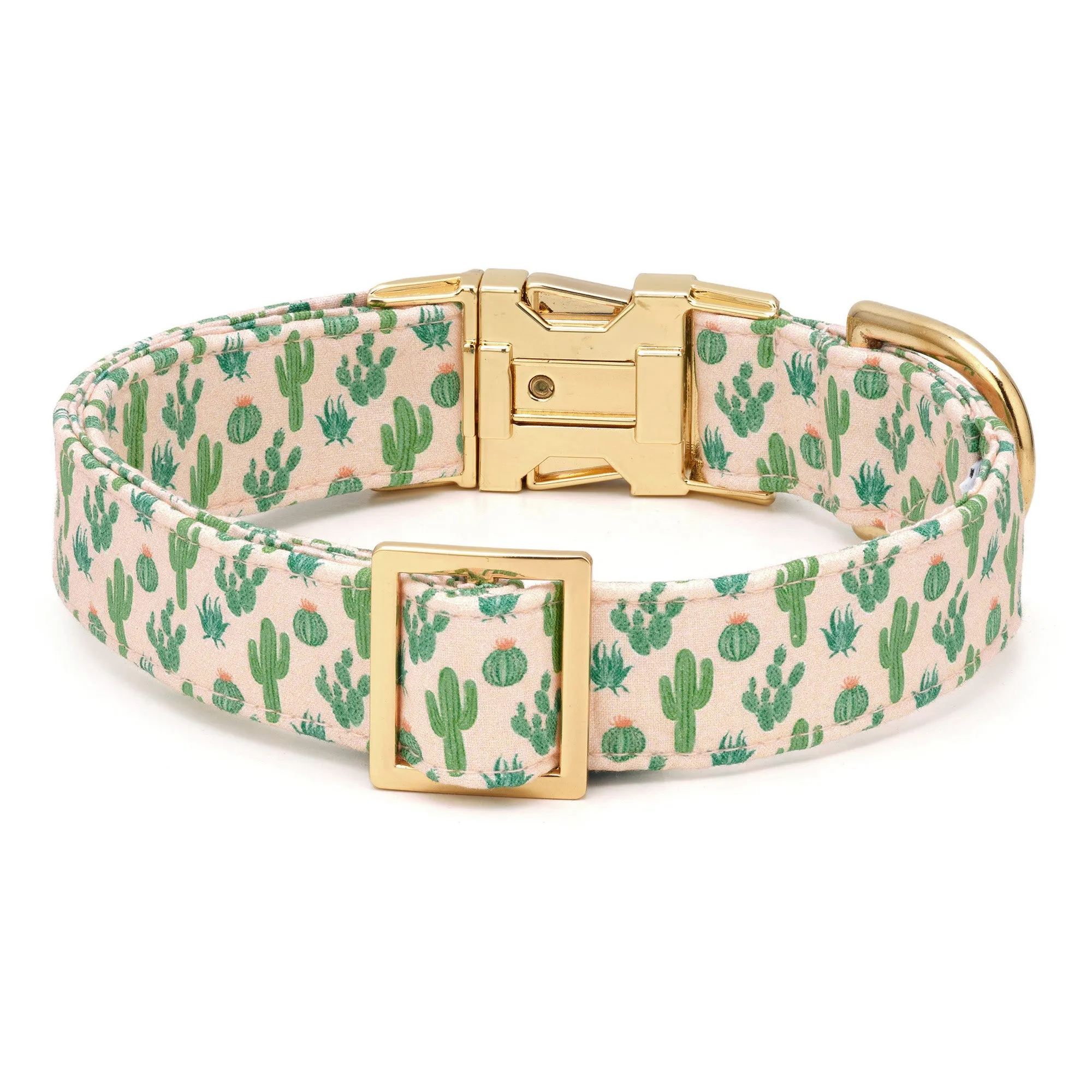 Desert Cactus Dog Collar