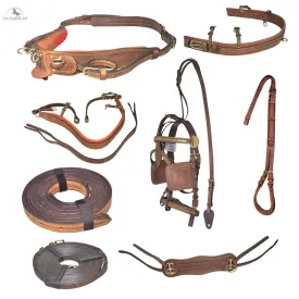 Premium Horse Gig Harness Full Size St Oily Cow Softy Leather with Brass Lacquer
