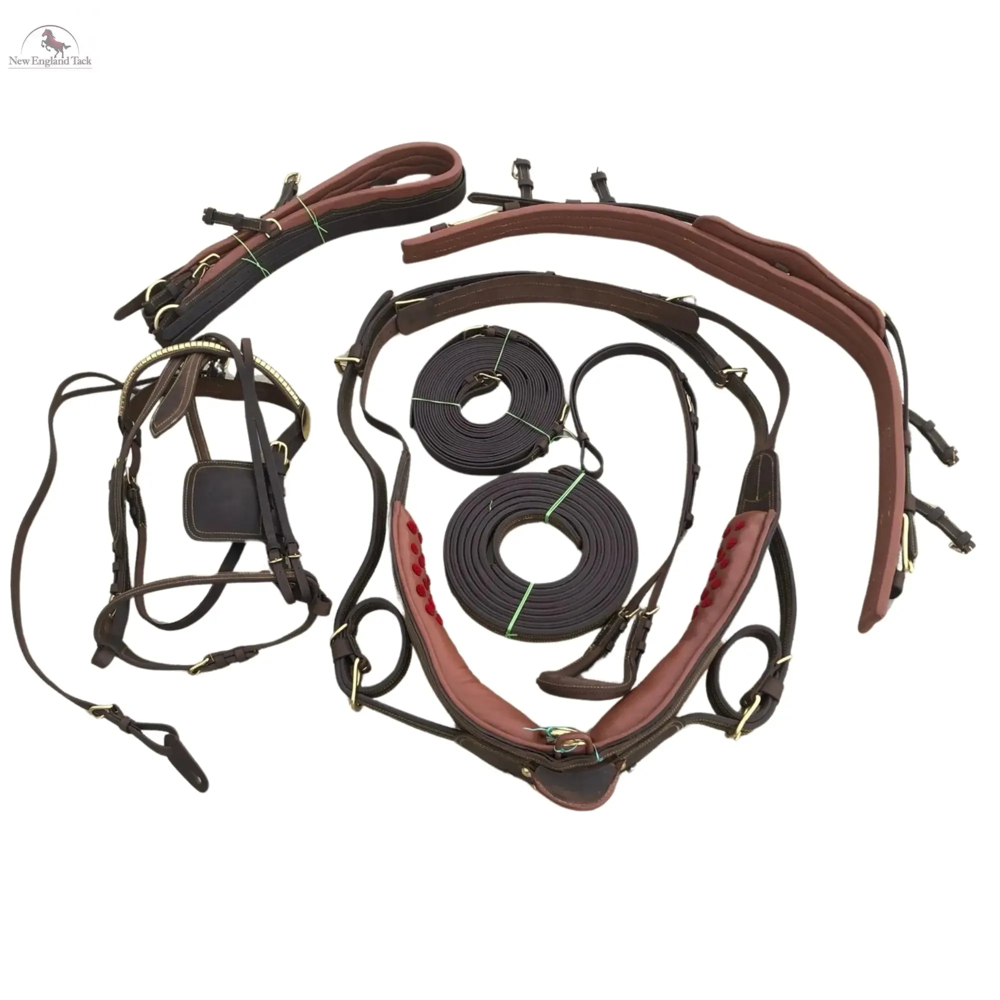 Premium Horse Gig Harness Full Size St Oily Cow Softy Leather with Brass Lacquer